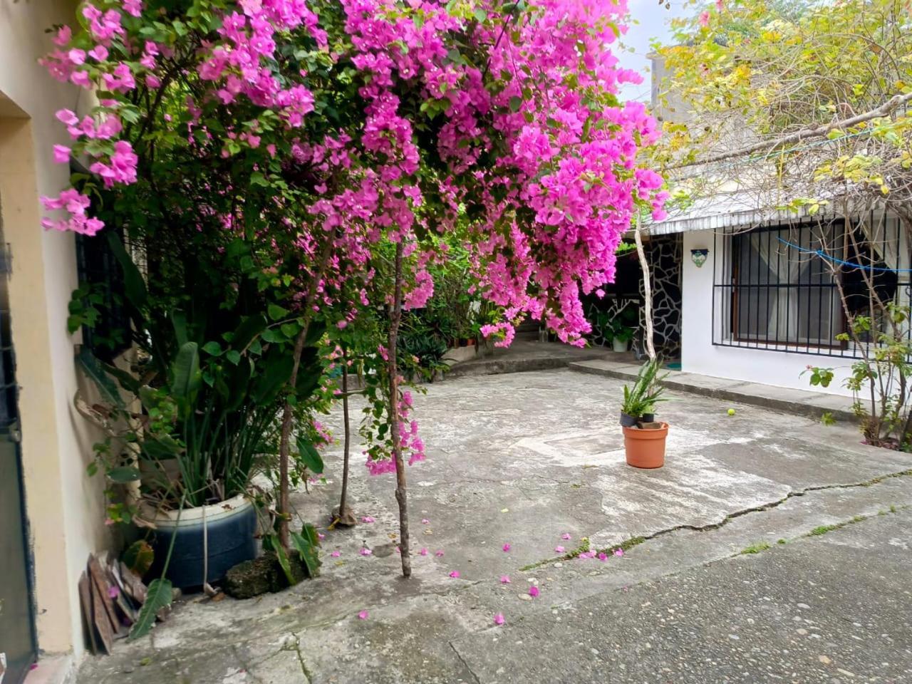 Posada Familiar Papantla ภายนอก รูปภาพ